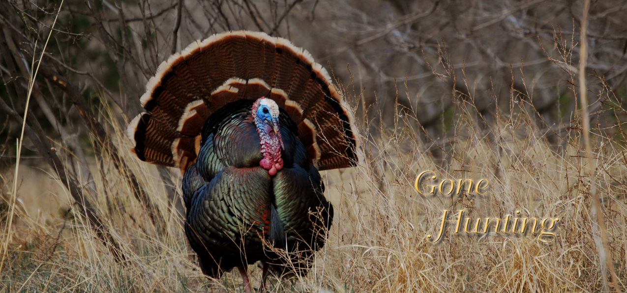 Gone Hunting (Turkey)